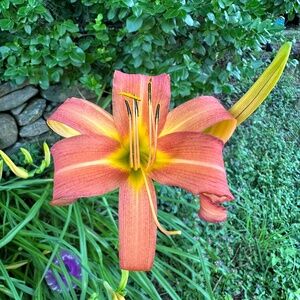 Meet your Posher, Lynn